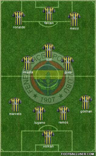 Fenerbahçe SK Formation 2013