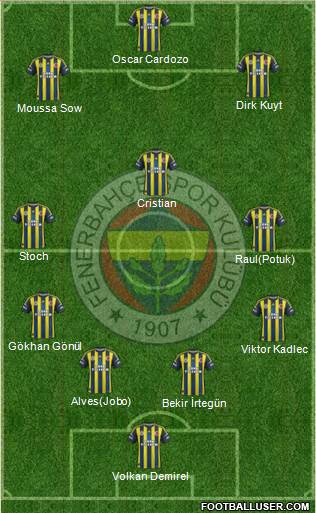 Fenerbahçe SK Formation 2013