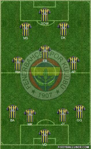Fenerbahçe SK Formation 2013
