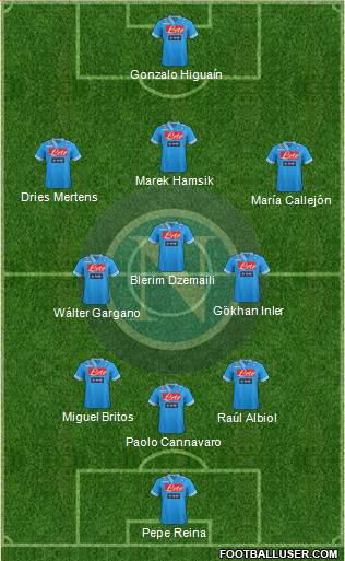 Napoli Formation 2013