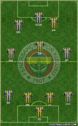 Fenerbahçe SK Formation 2013