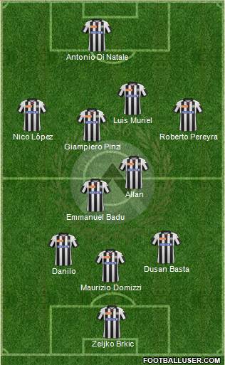 Udinese Formation 2013