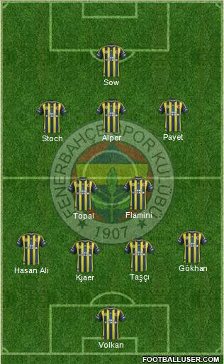Fenerbahçe SK Formation 2013
