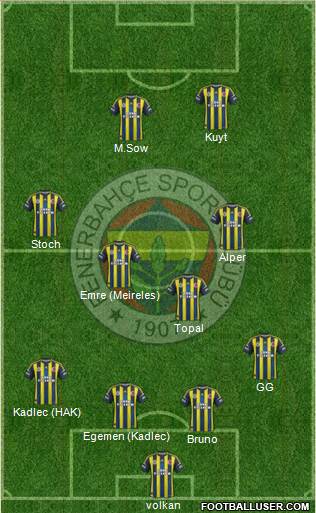 Fenerbahçe SK Formation 2013