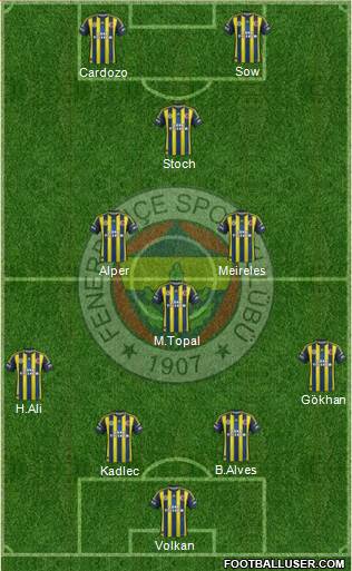 Fenerbahçe SK Formation 2013