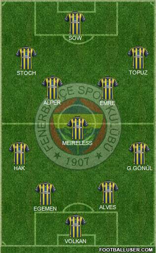 Fenerbahçe SK Formation 2013