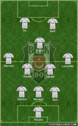 Besiktas JK Formation 2013