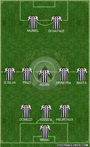 Udinese Formation 2013