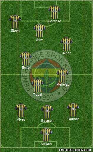 Fenerbahçe SK Formation 2013