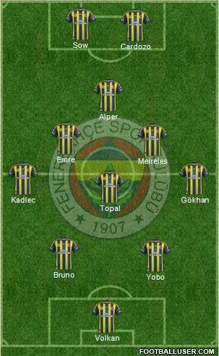 Fenerbahçe SK Formation 2013