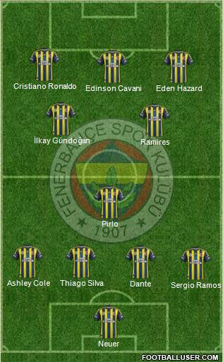 Fenerbahçe SK Formation 2013