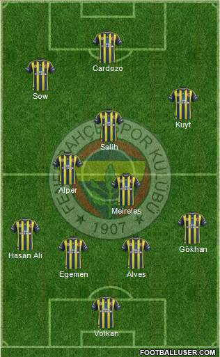 Fenerbahçe SK Formation 2013