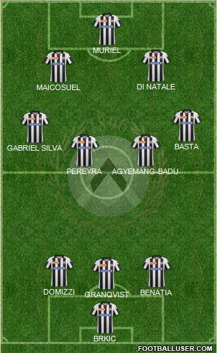 Udinese Formation 2013