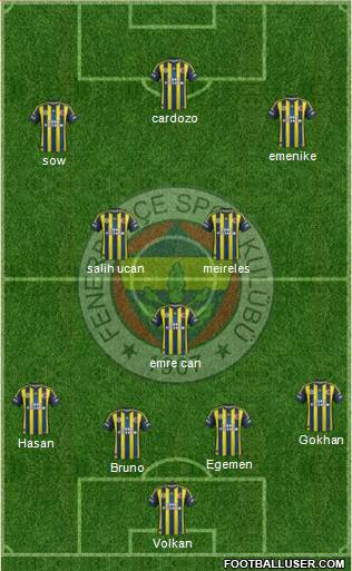 Fenerbahçe SK Formation 2013