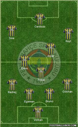 Fenerbahçe SK Formation 2013