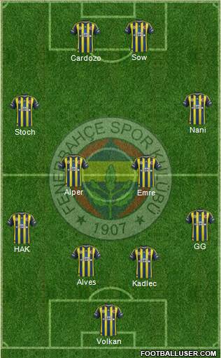 Fenerbahçe SK Formation 2013