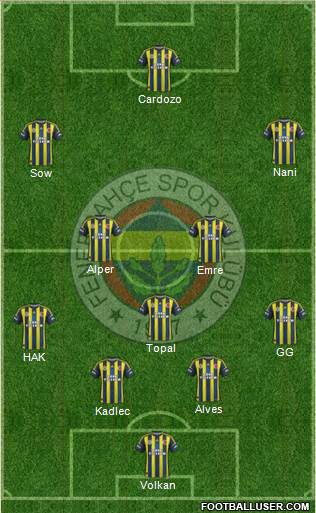 Fenerbahçe SK Formation 2013