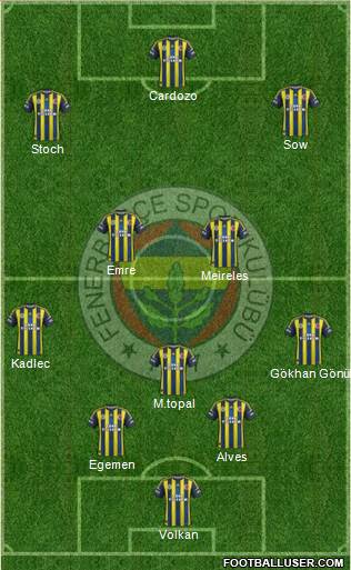 Fenerbahçe SK Formation 2013