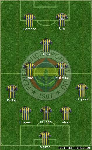 Fenerbahçe SK Formation 2013
