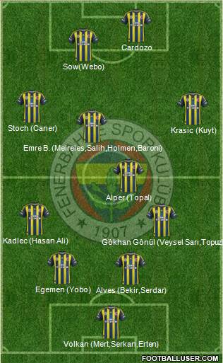 Fenerbahçe SK Formation 2013