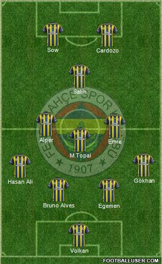 Fenerbahçe SK Formation 2013