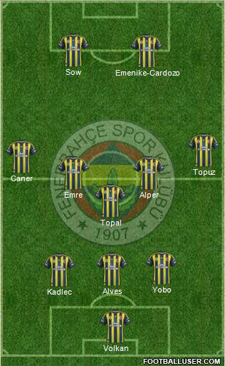 Fenerbahçe SK Formation 2013