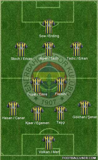 Fenerbahçe SK Formation 2013