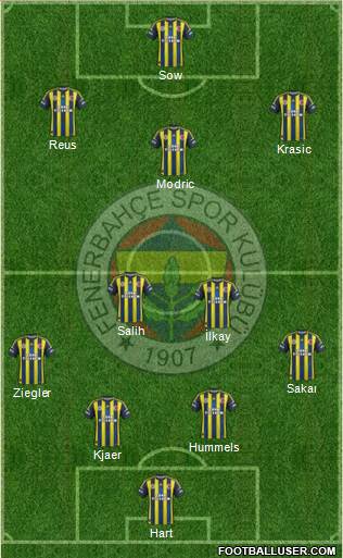 Fenerbahçe SK Formation 2013