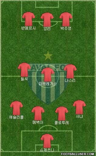 Avaí FC Formation 2013