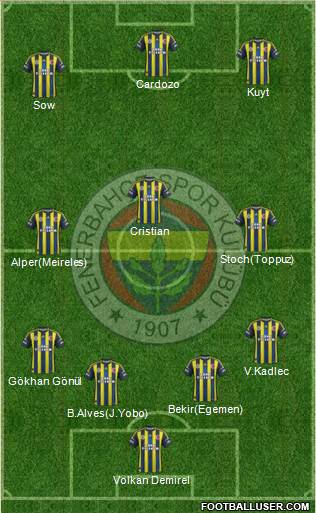 Fenerbahçe SK Formation 2013