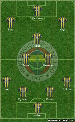 Fenerbahçe SK Formation 2013