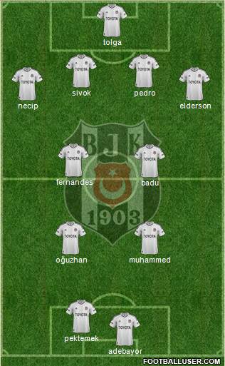 Besiktas JK Formation 2013