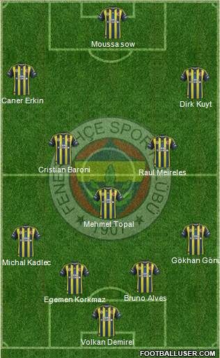 Fenerbahçe SK Formation 2013