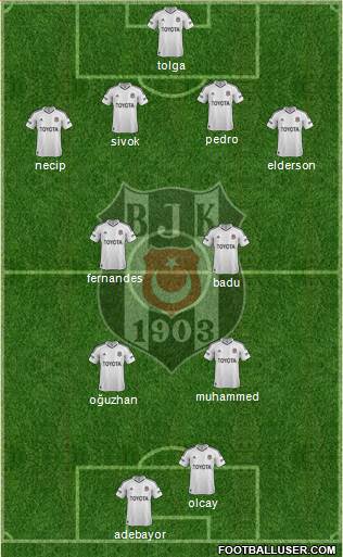 Besiktas JK Formation 2013