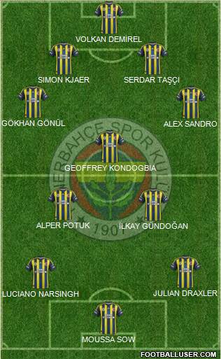Fenerbahçe SK Formation 2013