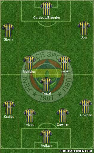 Fenerbahçe SK Formation 2013