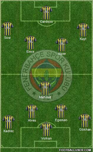Fenerbahçe SK Formation 2013