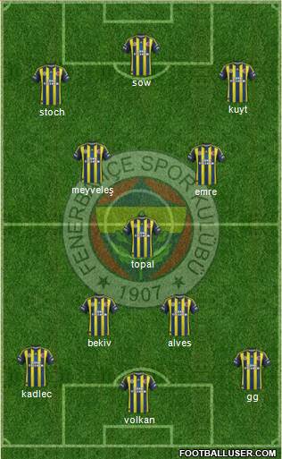 Fenerbahçe SK Formation 2013