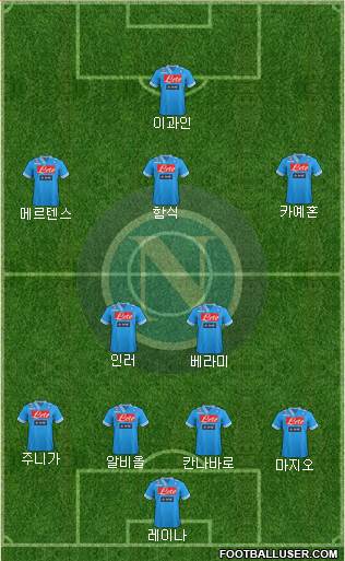 Napoli Formation 2013