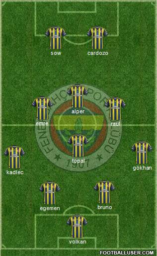 Fenerbahçe SK Formation 2013