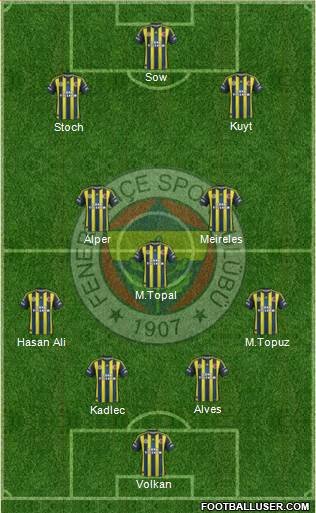 Fenerbahçe SK Formation 2013