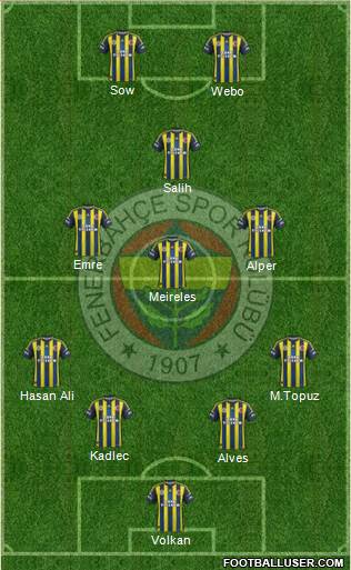 Fenerbahçe SK Formation 2013