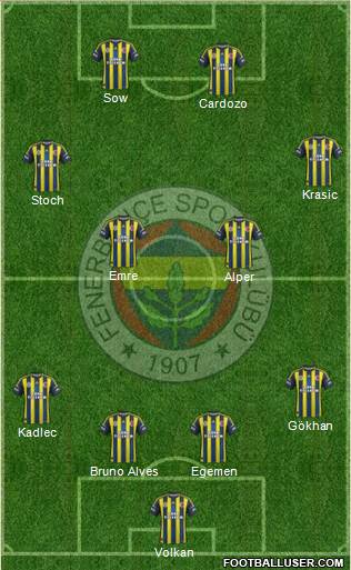 Fenerbahçe SK Formation 2013