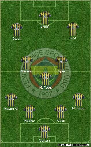 Fenerbahçe SK Formation 2013