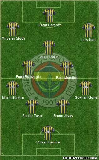 Fenerbahçe SK Formation 2013