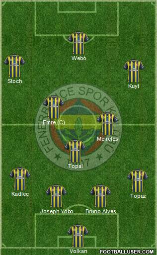 Fenerbahçe SK Formation 2013