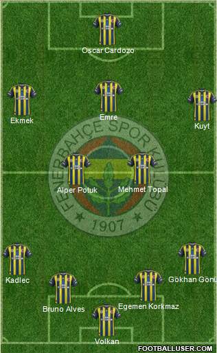Fenerbahçe SK Formation 2013