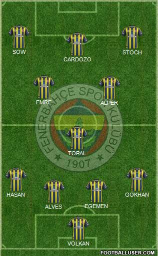 Fenerbahçe SK Formation 2013