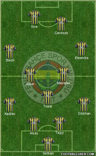 Fenerbahçe SK Formation 2013