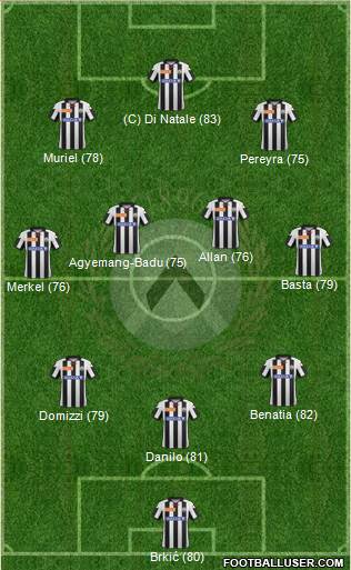 Udinese Formation 2013